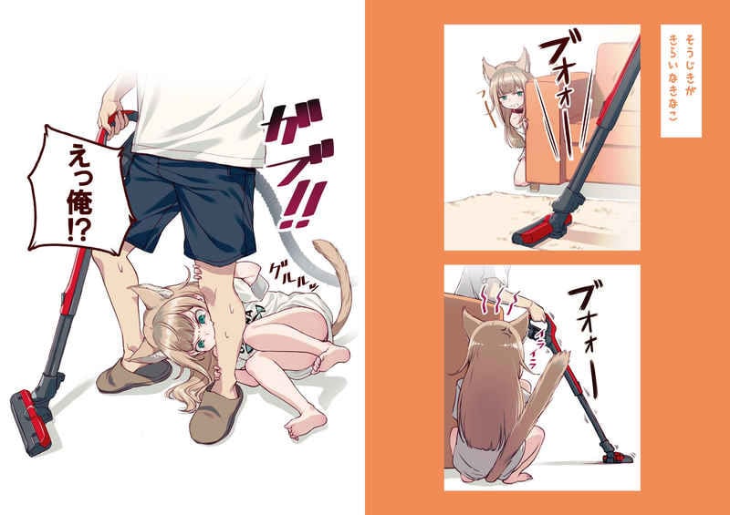 Kinako Does Normal Cat Things