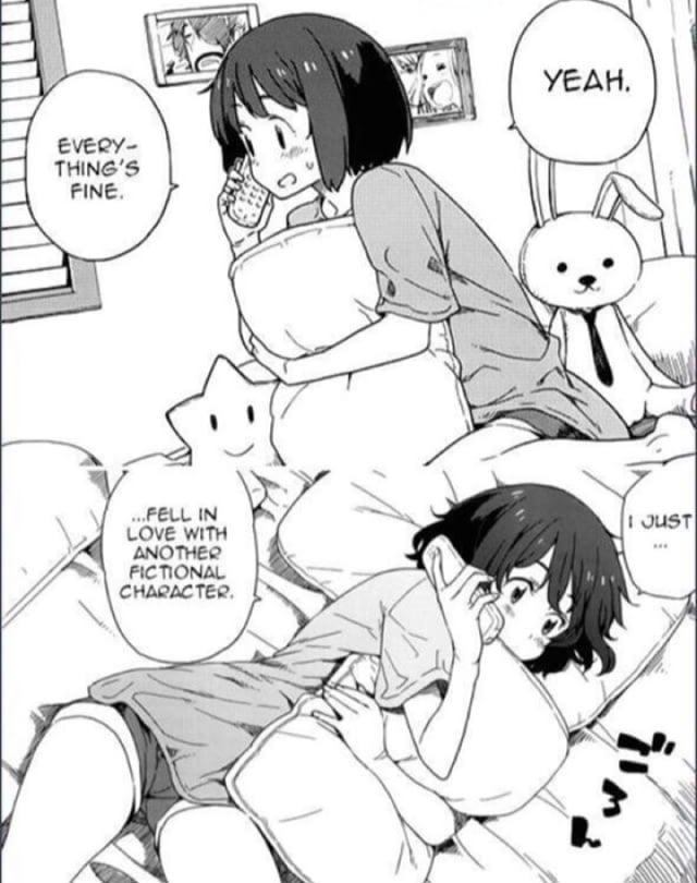 I Fell In Love With Another Fictional Character 