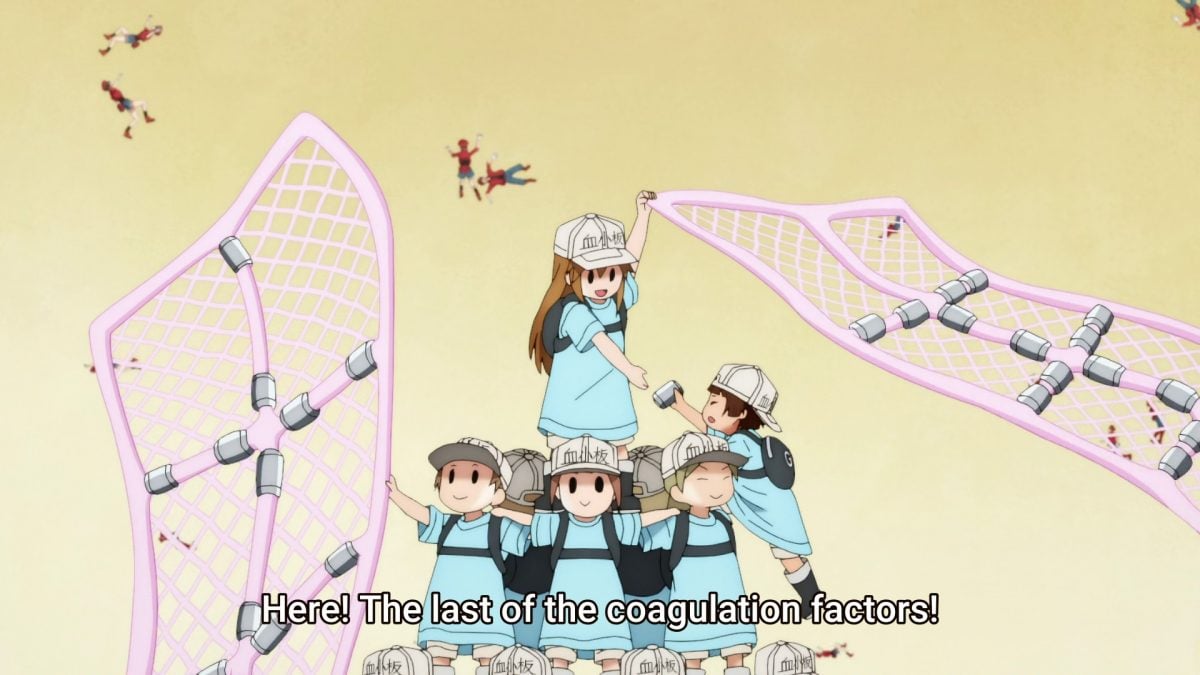 Platelets Cells At Work