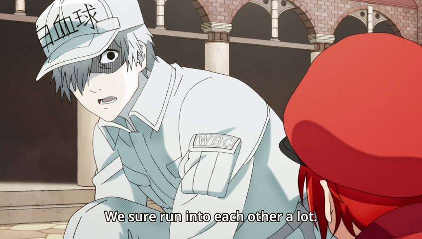 White Blood Cell Cells At Work