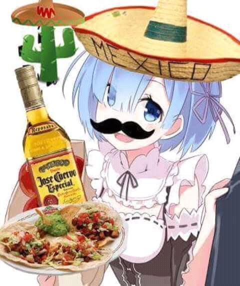 Mexian Anime Rem