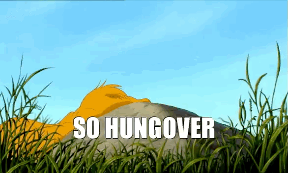 So Hung Over Lion King