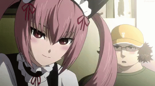 Steins;gate Anime Maid