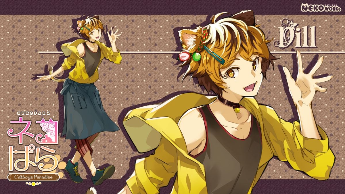 Catboys Paradise Dill