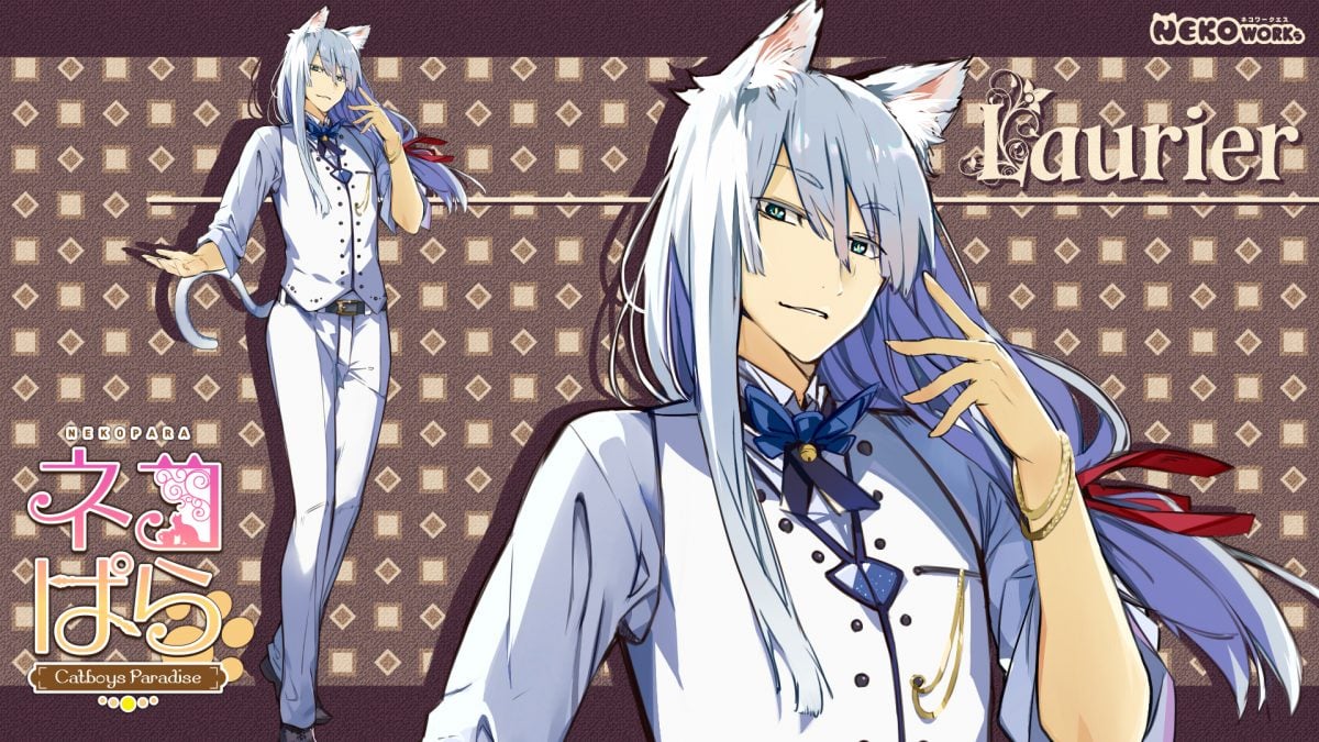 Catboys Paradise Laurier