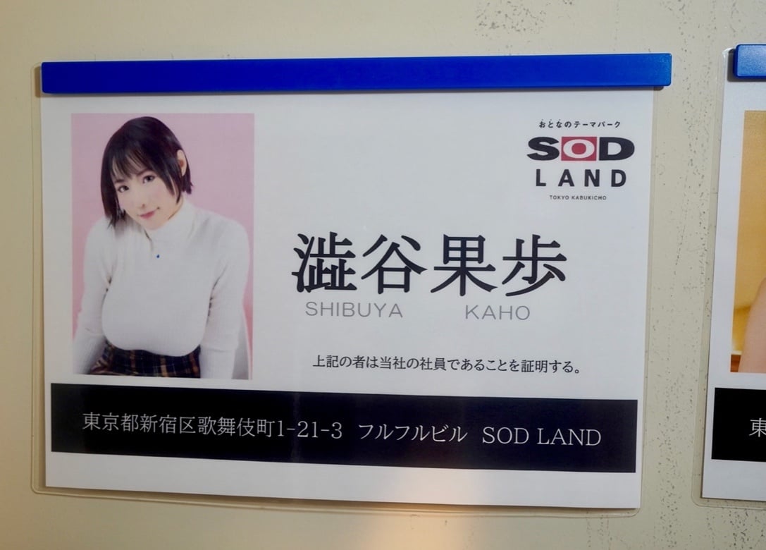 Kaho Shibuya's Official SOD Land Badge