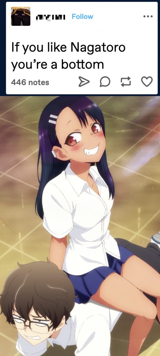 If You Like Nagatoro You're A Bottom 