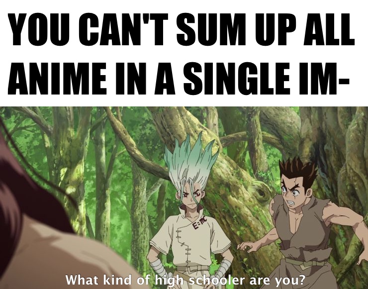 You Can't Sum Up All Anime