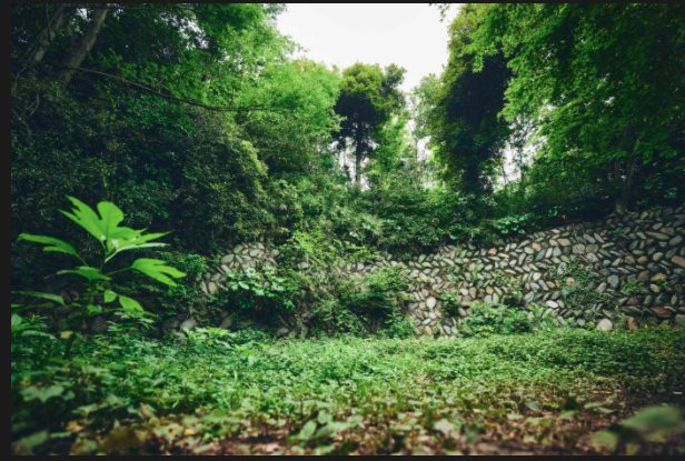 PokemonWonder AncientStoneWall