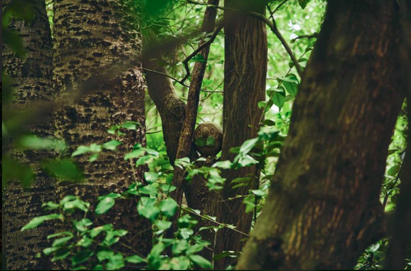 PokemonWonder Rowlett