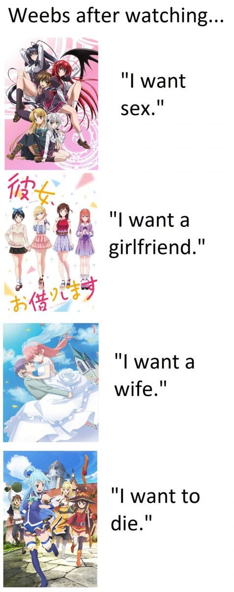 Things That Accellerated Quickly Anime Meme