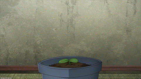The Great Jahy Will Not Be Defeated! Episode 11 Jahy Celebrates Tomarou Sprout