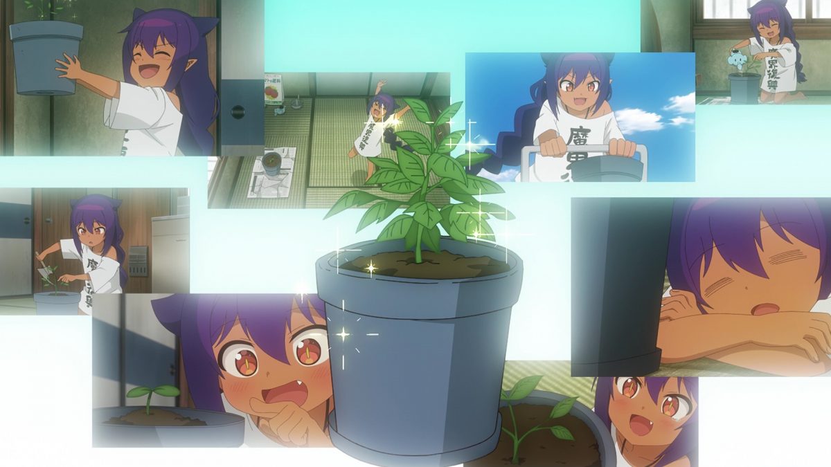 The Great Jahy Will Not Be Defeated! Episode 11 Tomarou Montage