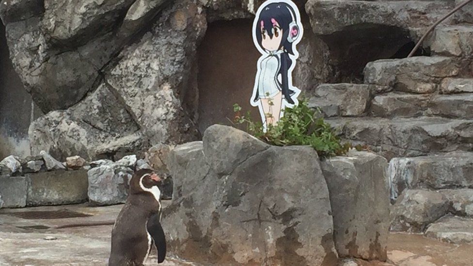 Grape Kun Penguin 01