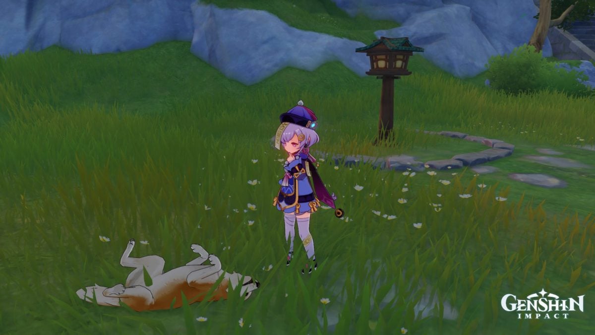 Genshin Impact World Doggo1