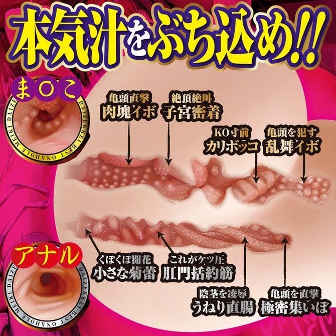 Amazing Internal Design of Daizekkei Houjun