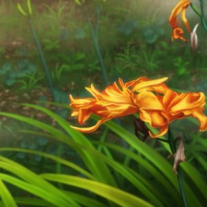 Fena Pirate Princess Episode 2 Japanese Flower