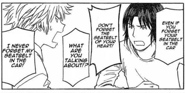 Don't Forget The Seatbelt Of Your Heart