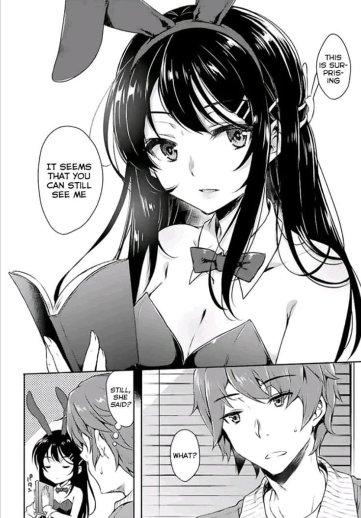 Rascal Does Not Dream Of Bunny Girl Senpai