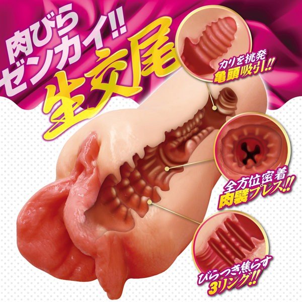 Internals Of The Toy Are Out Of This World