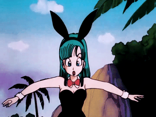 Bulma Anime Bunny Girls