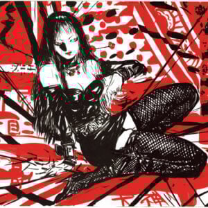 Shinjuku Yoshitaka Amano Comic Visual