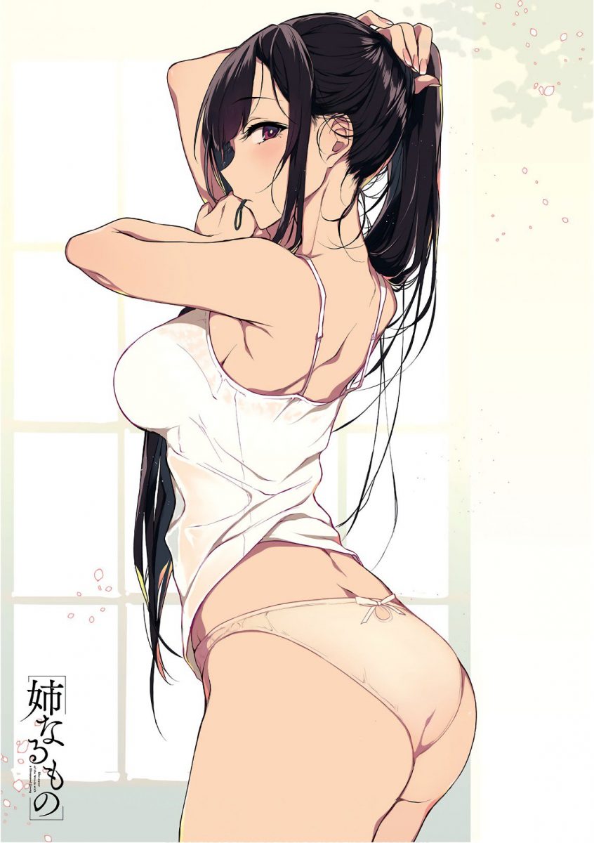 Elder Sister Like One Manga Illustration