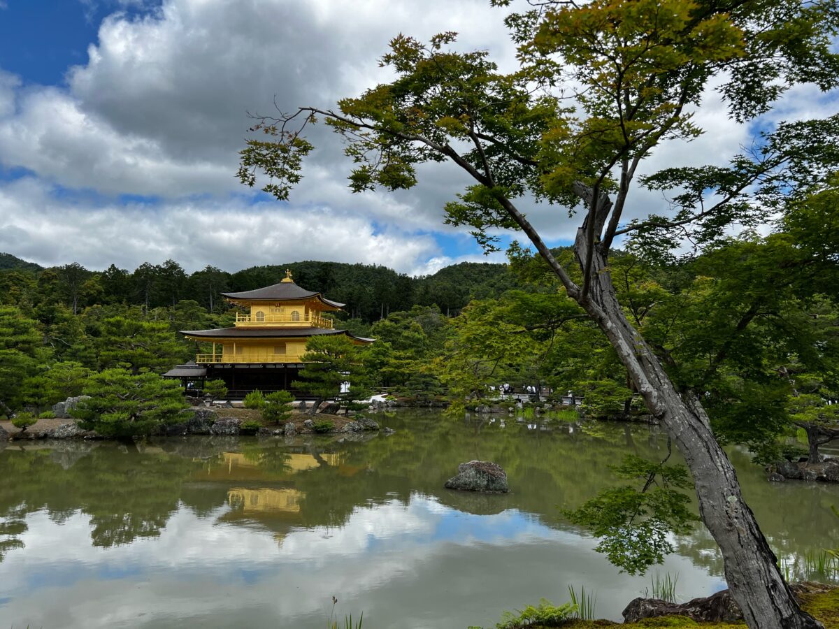 Although It's Kind Of Tourist Ey, I Couldn't Pass Up A Visit To Kinkakuji In Such Nice Weather