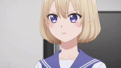 High Shipping Rates Makes Megumi Angry