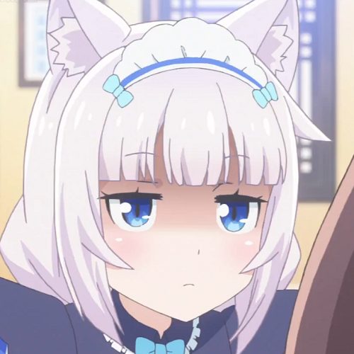 Nekopara Stare