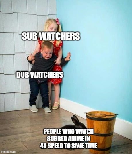 Dubs Vs Subs Anime Meme