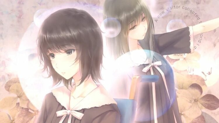 Flowers 2 Visual Novel Review