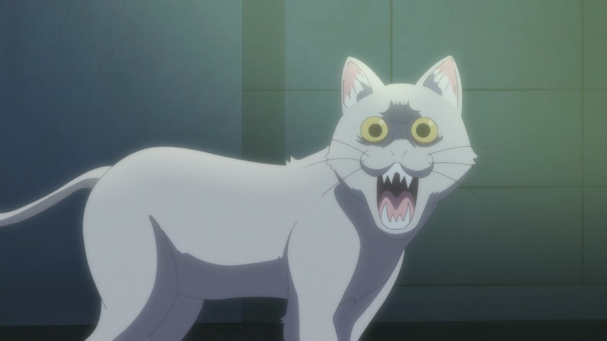 Uzaki Chan Wants To Hang Out! S2 Episode 6 Kuso Cat Freaks Out