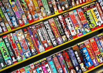 Vice Manga Industry DMCA