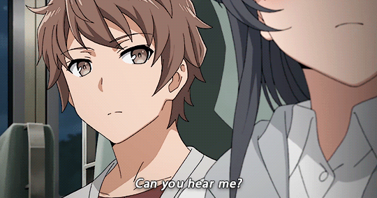 Bunny Girl Senpai Does Not Dream Of Rascal