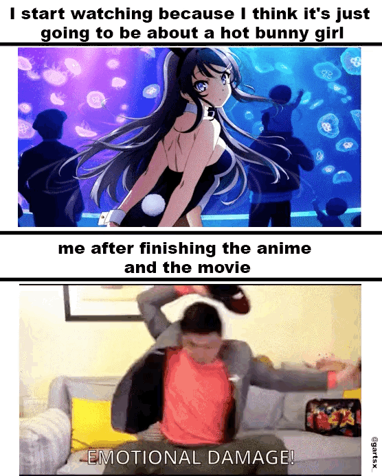 Seishun Buta Yarou What Anime Affected You Deeply