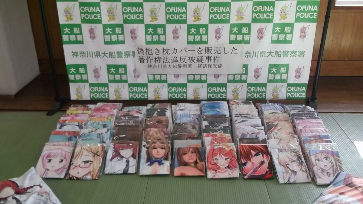 Bootleg Dakimakura Pillows