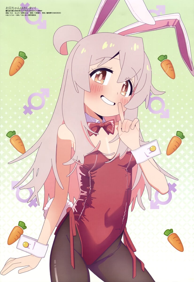 Oniichan Wa Oshimai Anime Poster Magazine