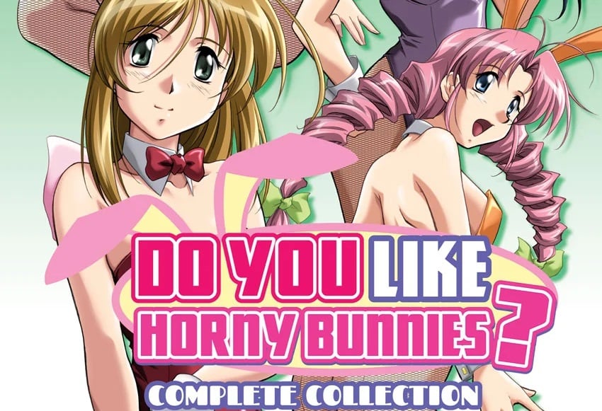 Do You Like Horny Bunnies Complete Review1 1.1