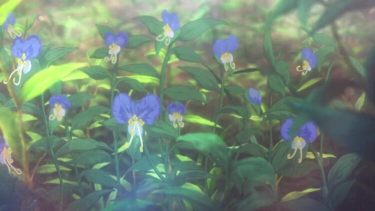 KyoAni News Violet Evergarden