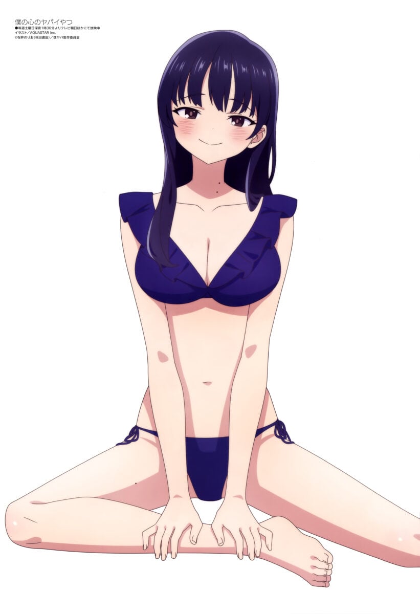 Boku No Kokoro No Yabai Yatsu