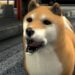 Yakuza 3 Puppy 02