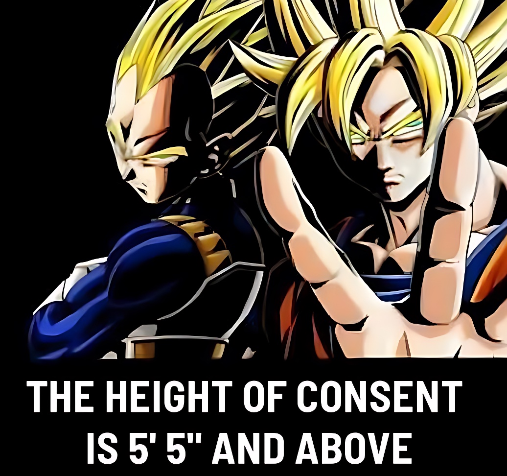 The Height Of Concent Meme