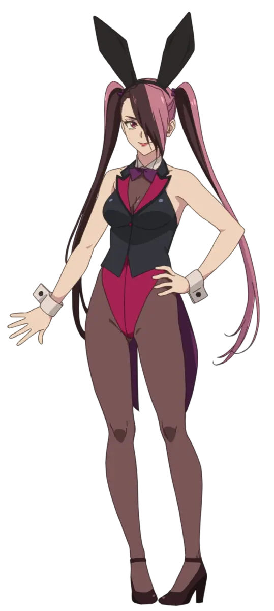 Bunny Girl Day List1 9