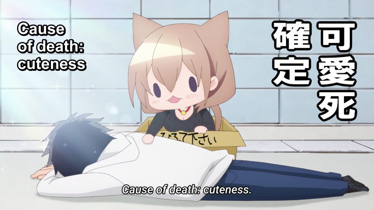 My Tiny Senpai Episode 6 Cause Of Death Cuteness