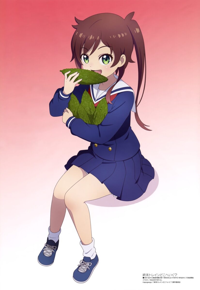 Train To The End Of The World