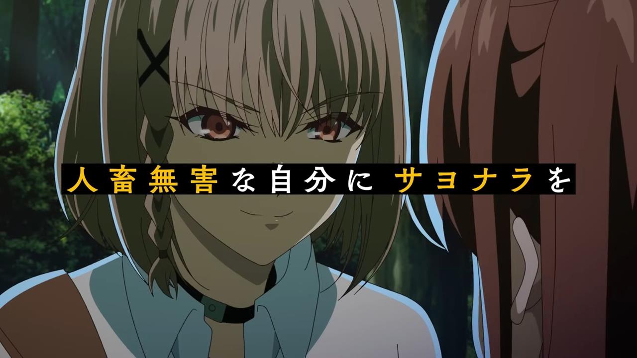 Failure Frame PV1 17