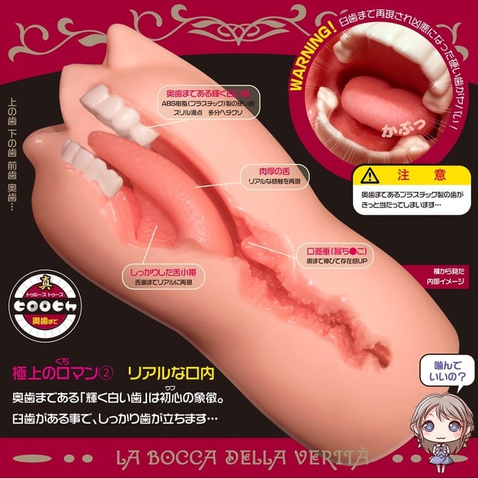 Internal Dental Structure