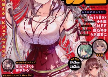 Otone Dengeki Moeoh #13 Cover