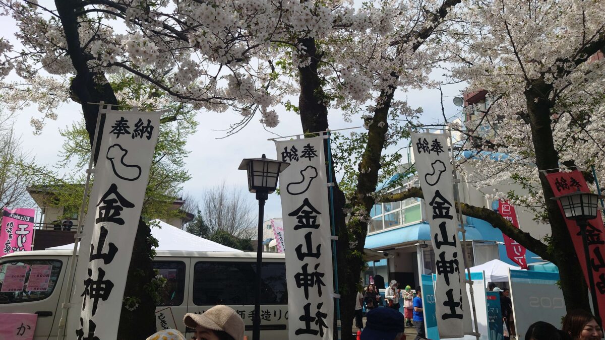 Penis Festival Entry